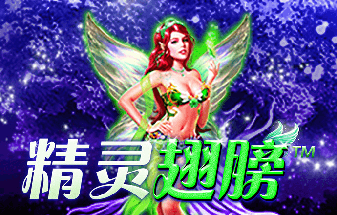 宾果彩票购彩大厅官网